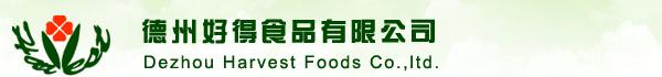 泰安中呼網(wǎng)絡(luò)傳媒logo